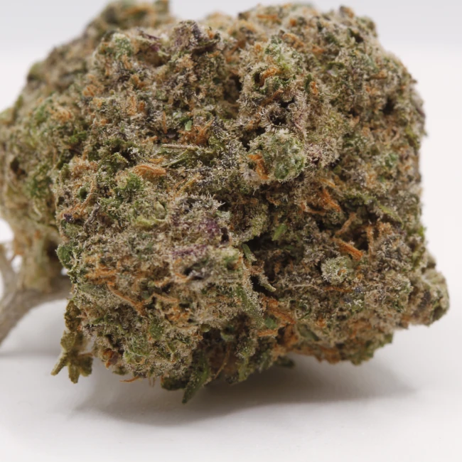 sativum-cbd-shop-jelly-gelato-macro cbd lille fleur de cbd jelly gelato