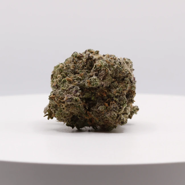 sativum-cbd-shop-jelly-gelato cbd lille fleur de cbd jelly gelato