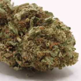 Fleurs de CBD Lilith (Cali Kush)