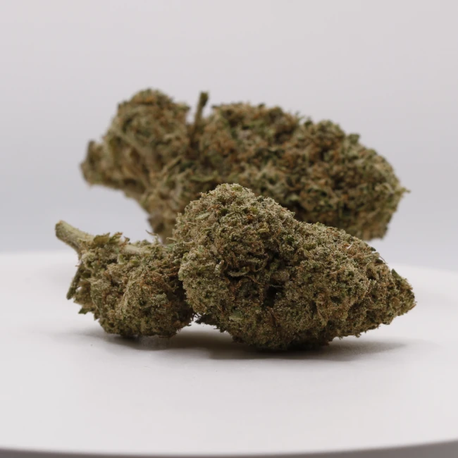 sativum-cbd-shop-platinium-cookies-groupe cbd lille fleur de cbc platinium cookies