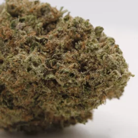 Fleurs de CBD Platinium Cookies M.S CBC