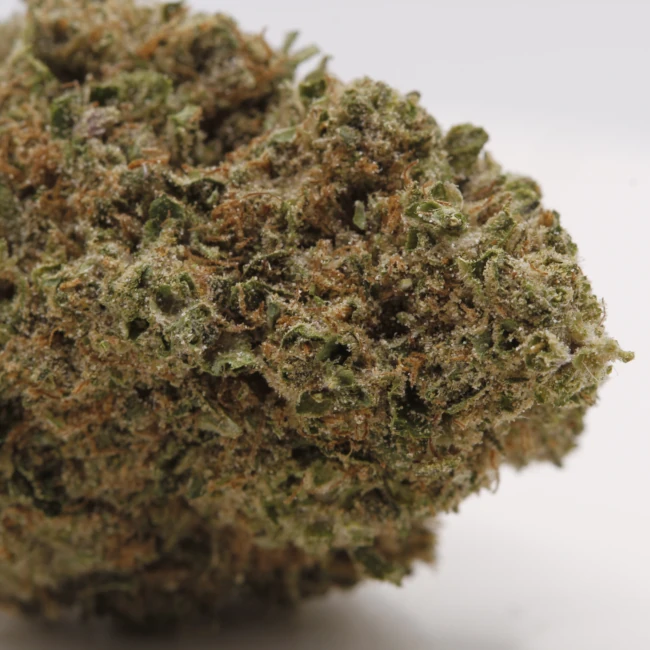 sativum-cbd-shop-platinium-cookies-macro cbd lille fleur de cbc platinium cookies