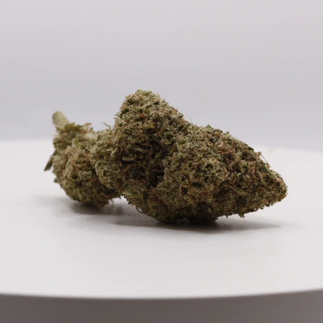 sativum-cbd-shop-platinium-cookies cbd lille fleur de cbc platinium cookies