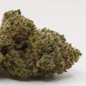 Fleurs de CBD Papaya M.S CBC