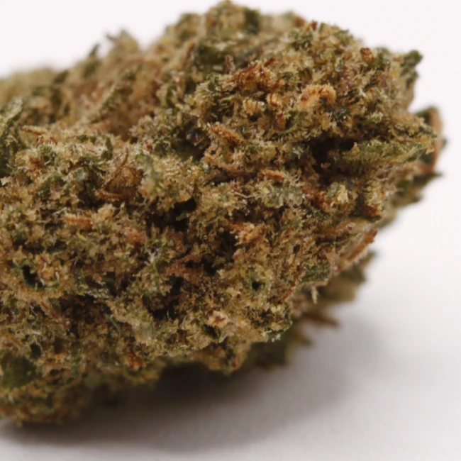 sativum-cbd-shop-legendary-yuzu-macro cbd lille fleurs de cbd legendary yuzu