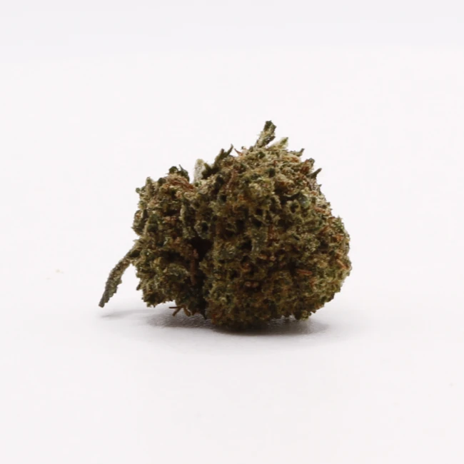 sativum-cbd-shop-legendary-yuzu cbd lille fleurs de cbd legendary yuzu