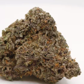 Fleurs de CBD Bangkok Blaze