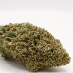 Fleurs de CBD Mikado (GSC)