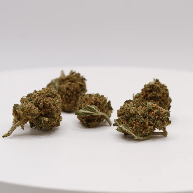 sativum-cbd-shop-ohana-groupe cbd lille fleurs de cbd ohana