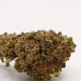 Fleurs de CBD Ohana (small buds)