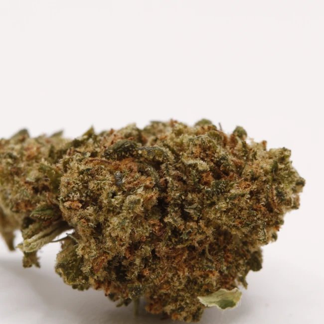 sativum-cbd-shop-ohana-macro cbd lille fleurs de cbd ohana