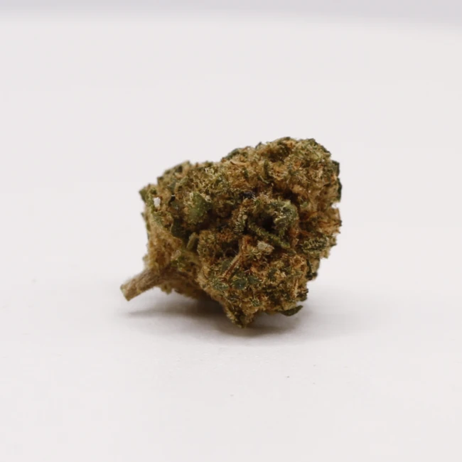 sativum-cbd-shop-ohana cbd lille fleurs de cbd ohana