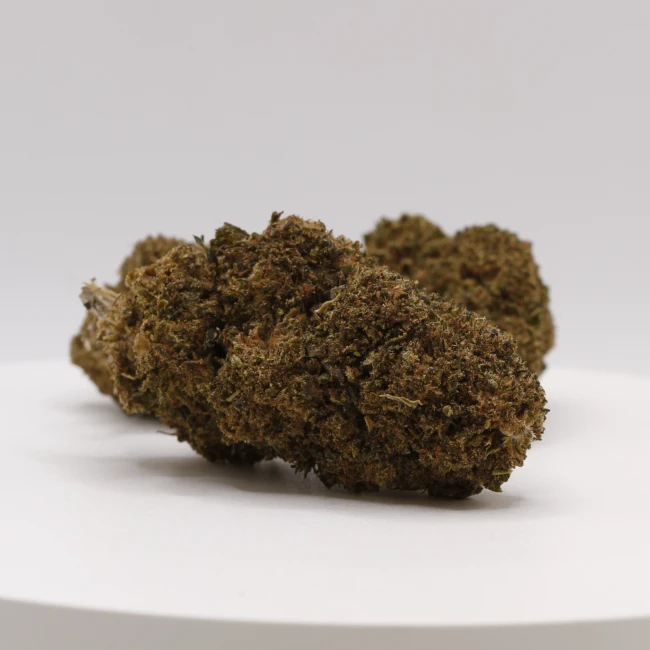 sativum-cbd-shop-red-cherry-groupe cbd lille fleurs de cbd red cherry revuelto
