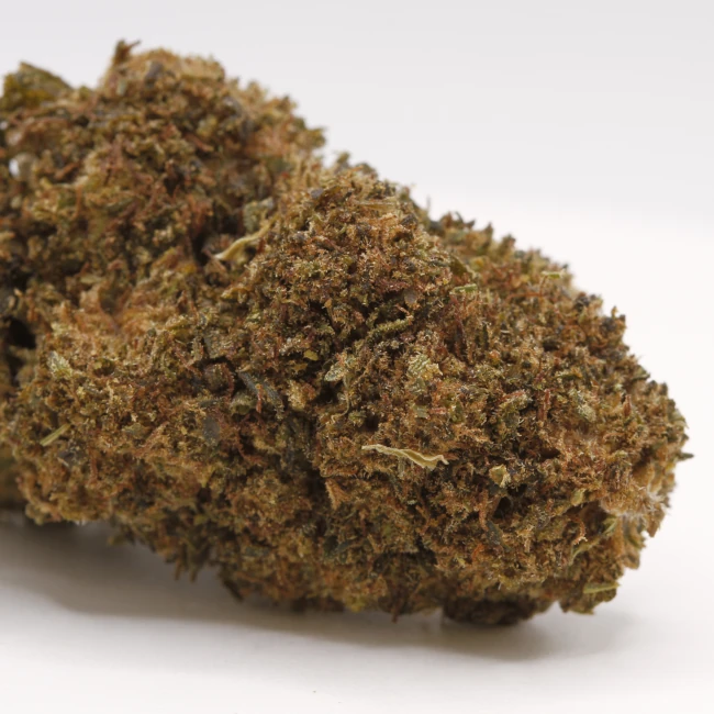 sativum-cbd-shop-red-cherry-macro cbd lille fleurs de cbd red cherry revuelto