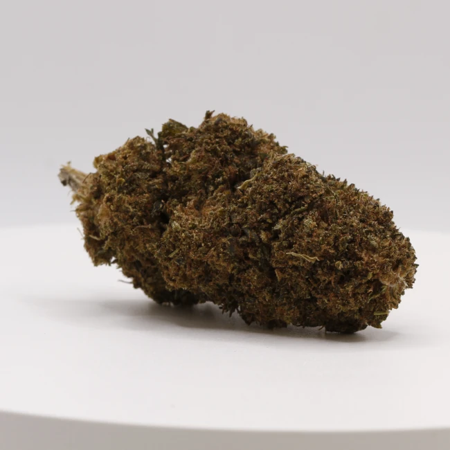 sativum-cbd-shop-red-cherry cbd lille fleurs de cbd red cherry revuelto
