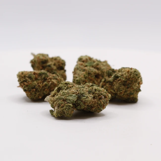 sativum-cbd-shop-blueberry-muffin-groupe cbd lille fleurs de cbd blueberry muffin
