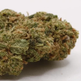 Fleurs de CBD Blueberry Muffin (small buds)