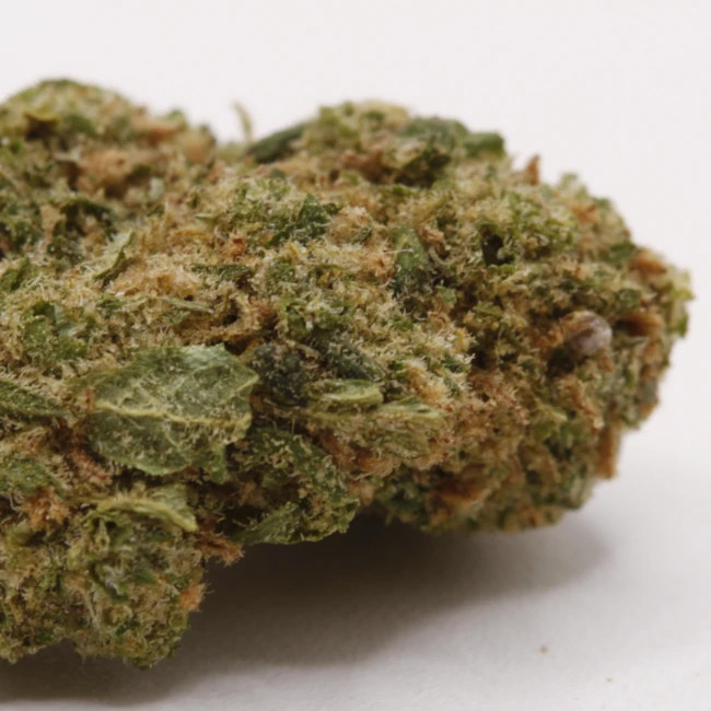 sativum-cbd-shop-blueberry-muffin-macro cbd lille fleurs de cbd blueberry muffin