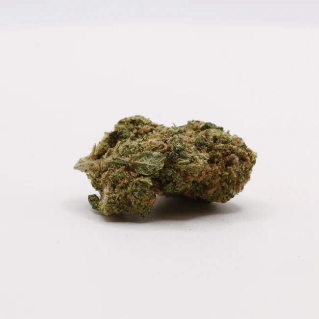 sativum-cbd-shop-blueberry-muffin cbd lille fleurs de cbd blueberry muffin