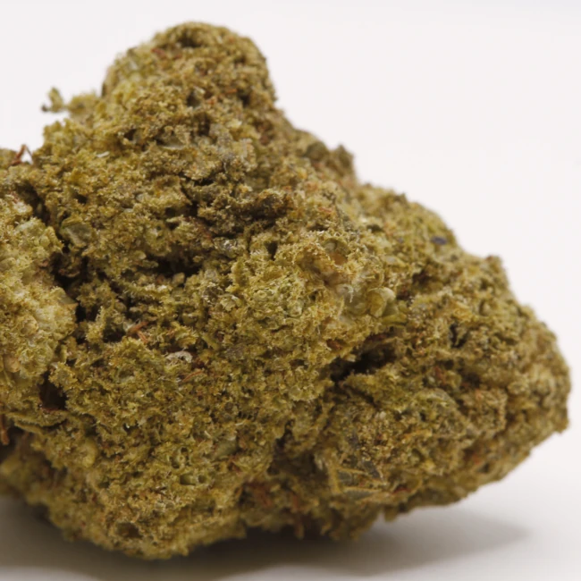 sativum-cbd-shop-forbidden-fruit-frozen-macro cbd lille fleurs de cbc forbidden fruit frozen