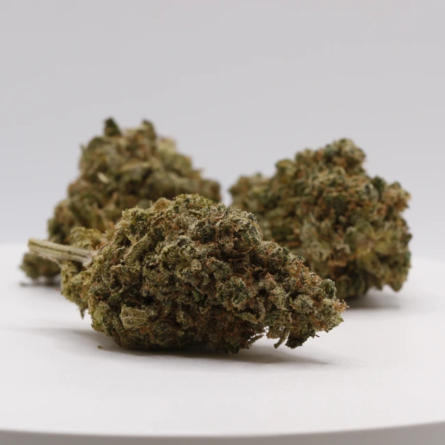 sativum-cbd-shop-lemon-butter-groupe cbd lille fleurs de cbd lemon butter