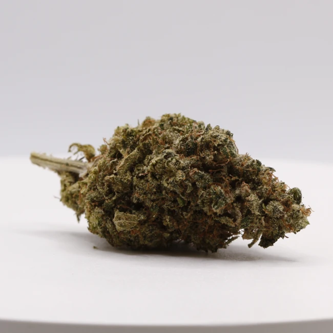 sativum-cbd-shop-lemon-butter cbd lille fleurs de cbd lemon butter