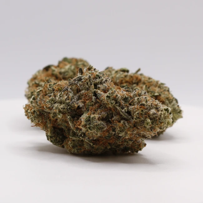 sativum-cbd-shop-solero-cream-groupe cbd lille fleurs de cbd solero cream