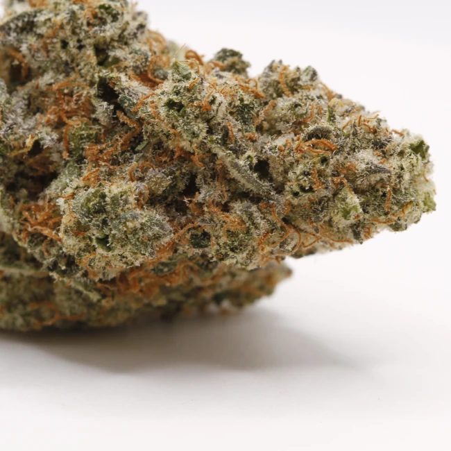 sativum-cbd-shop-solero-cream-macro cbd lille fleurs de cbd solero cream