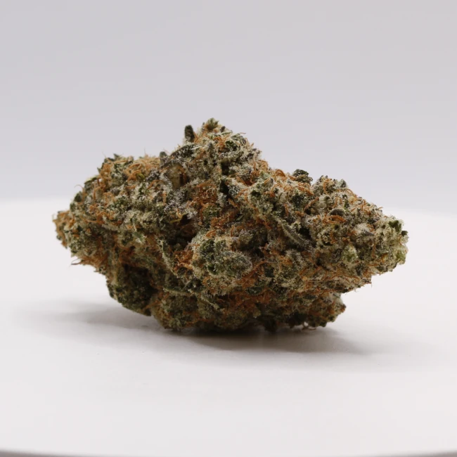 sativum-cbd-shop-solero-cream cbd lille fleurs de cbd solero cream