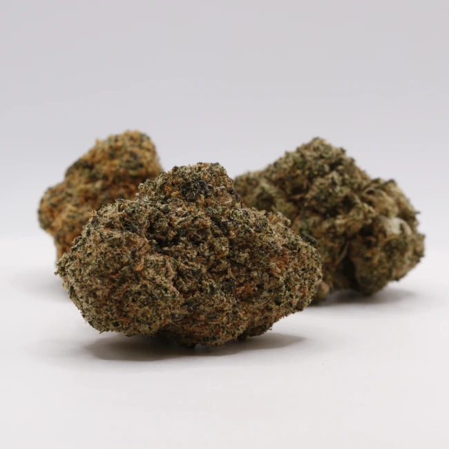 sativum-cbd-shop-tad-venom-groupe cbd lille fleurs de cbc toad venom