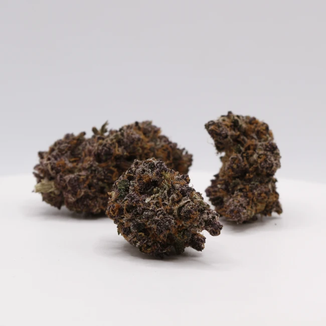 sativum-cbd-shop-tarmac-groupe cbd lille fleurs de cbd tarmac