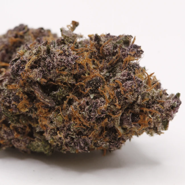 sativum-cbd-shop-tarmac-macro cbd lille fleurs de cbd tarmac