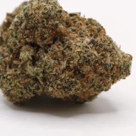 Fleurs de CBD Toad Venom M.S CBC