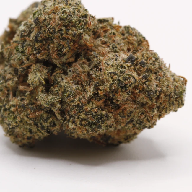 sativum-cbd-shop-toad-venom-macro cbd lille fleurs de cbc toad venom
