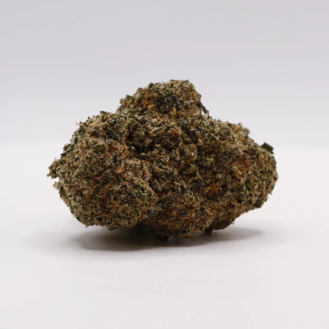 sativum-cbd-shop-toad-venom cbd lille fleurs de cbc toad venom
